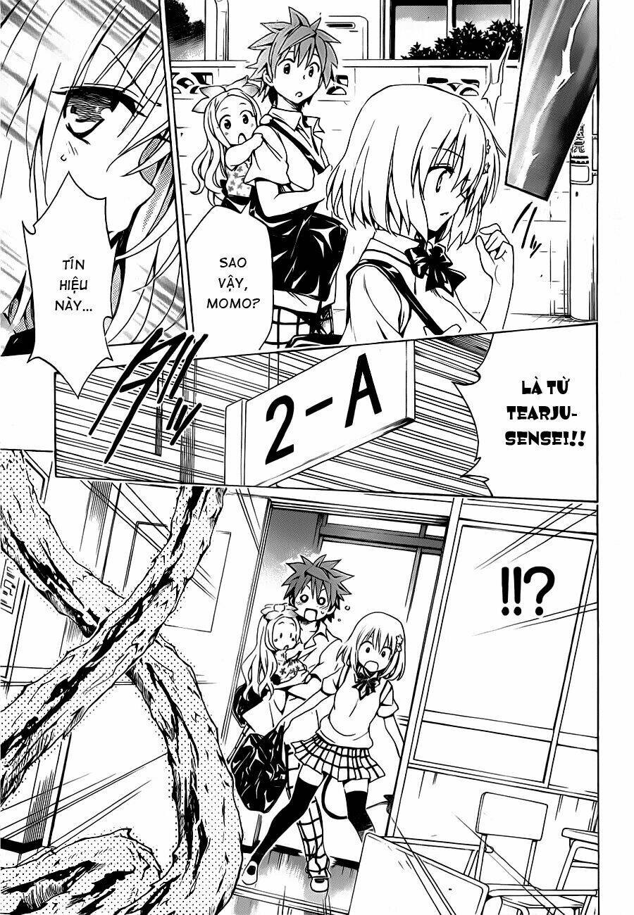 Bọn Tớ Thích Cậu! Rito 2 Chapter 16 - Trang 2