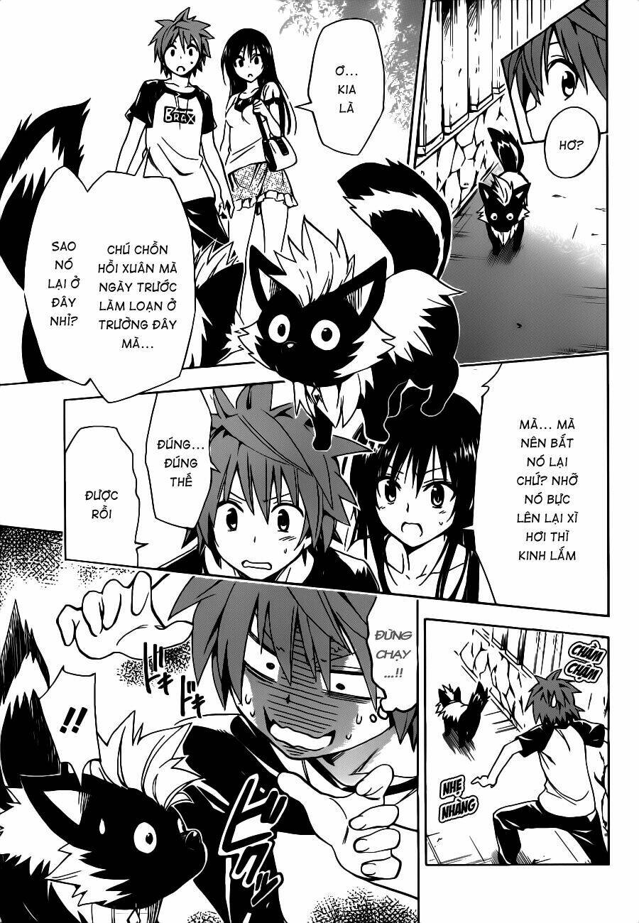 Bọn Tớ Thích Cậu! Rito 2 Chapter 19 - Trang 2