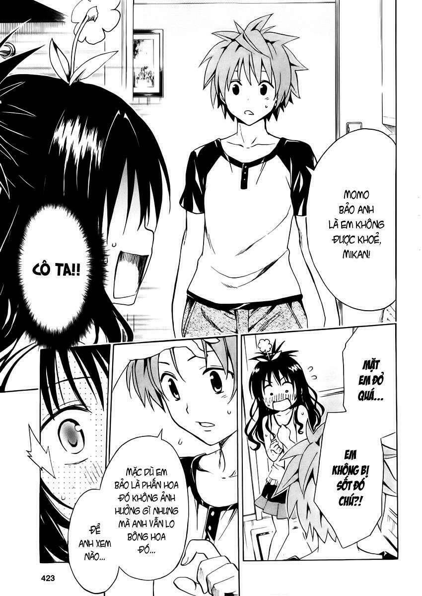 Bọn Tớ Thích Cậu! Rito 2 Chapter 7.5 - Trang 2