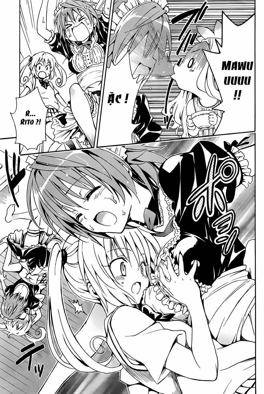 Bọn Tớ Thích Cậu! Rito 2 Chapter 8 - Trang 2