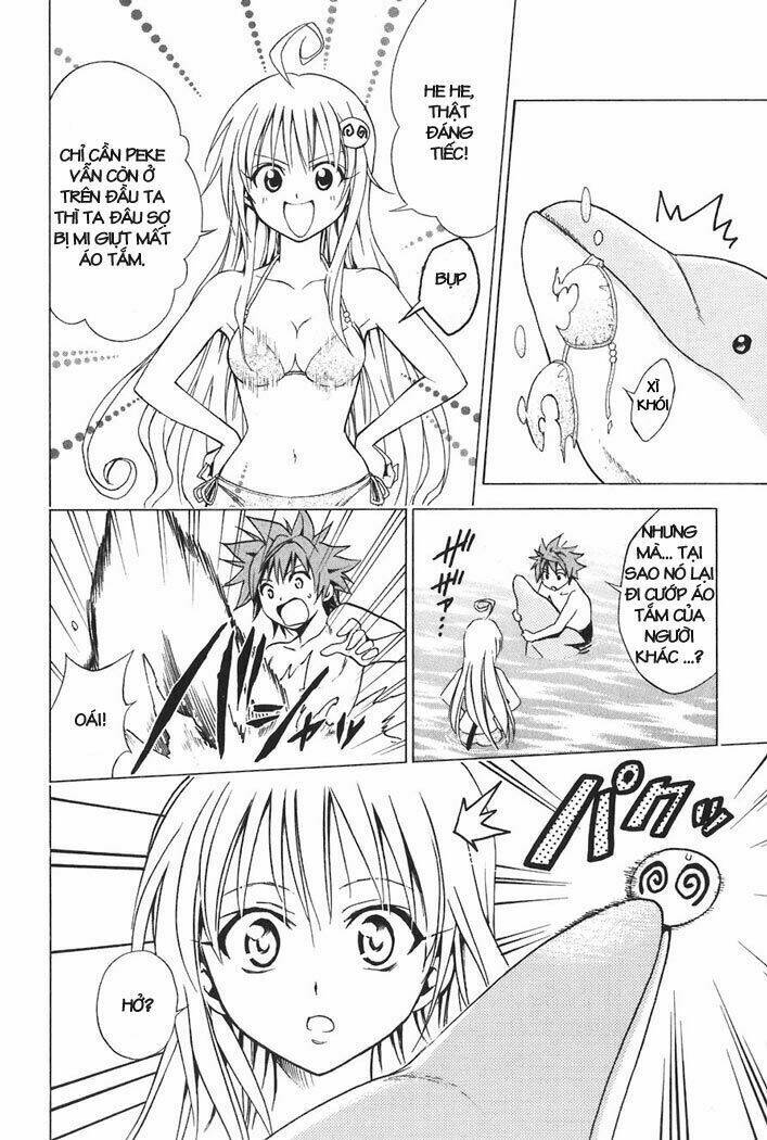 Bọn Tớ Thích Cậu! Rito Chapter 17 - Trang 2