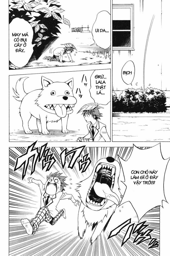 Bọn Tớ Thích Cậu! Rito Chapter 29 - Trang 2