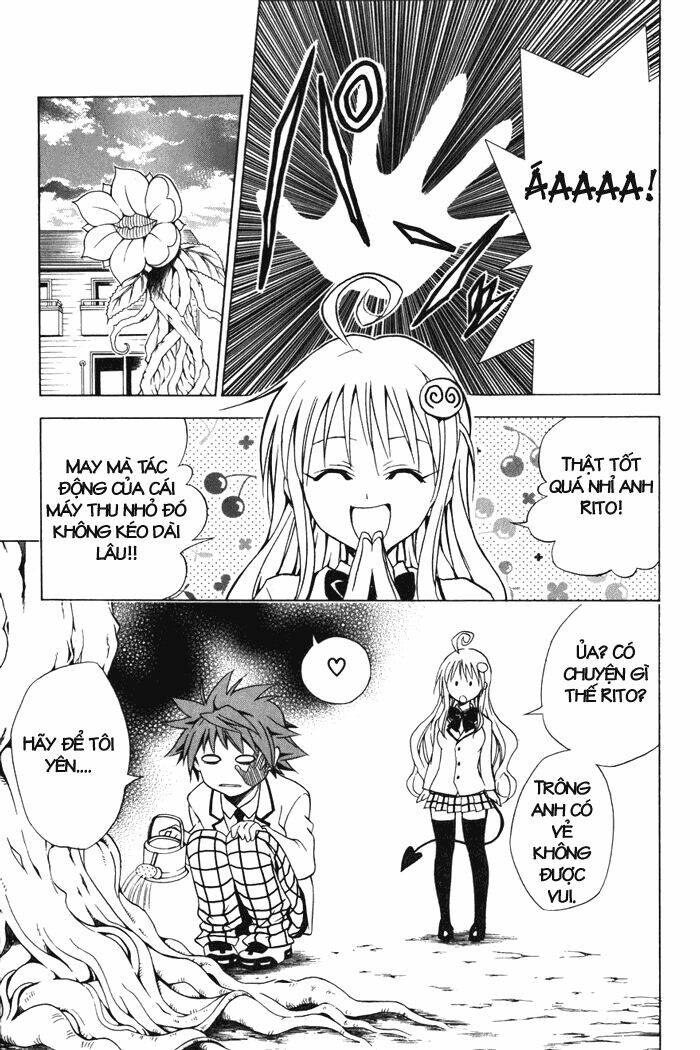 Bọn Tớ Thích Cậu! Rito Chapter 29 - Trang 2