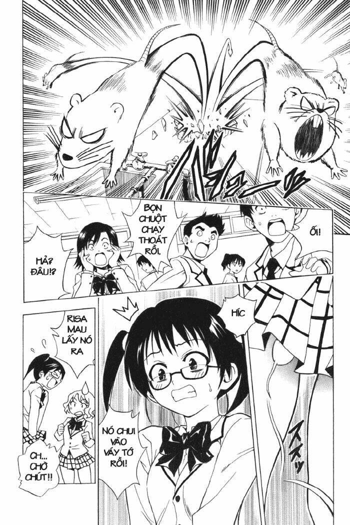 Bọn Tớ Thích Cậu! Rito Chapter 31 - Trang 2