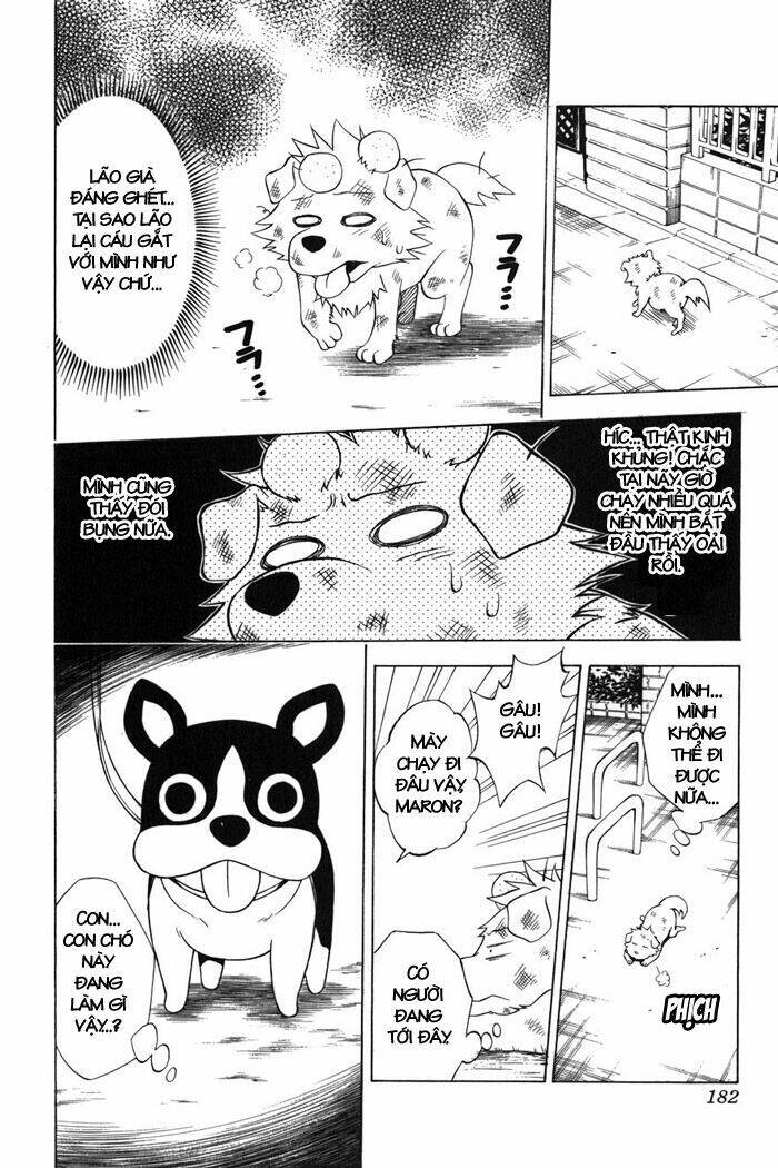 Bọn Tớ Thích Cậu! Rito Chapter 43 - Trang 2