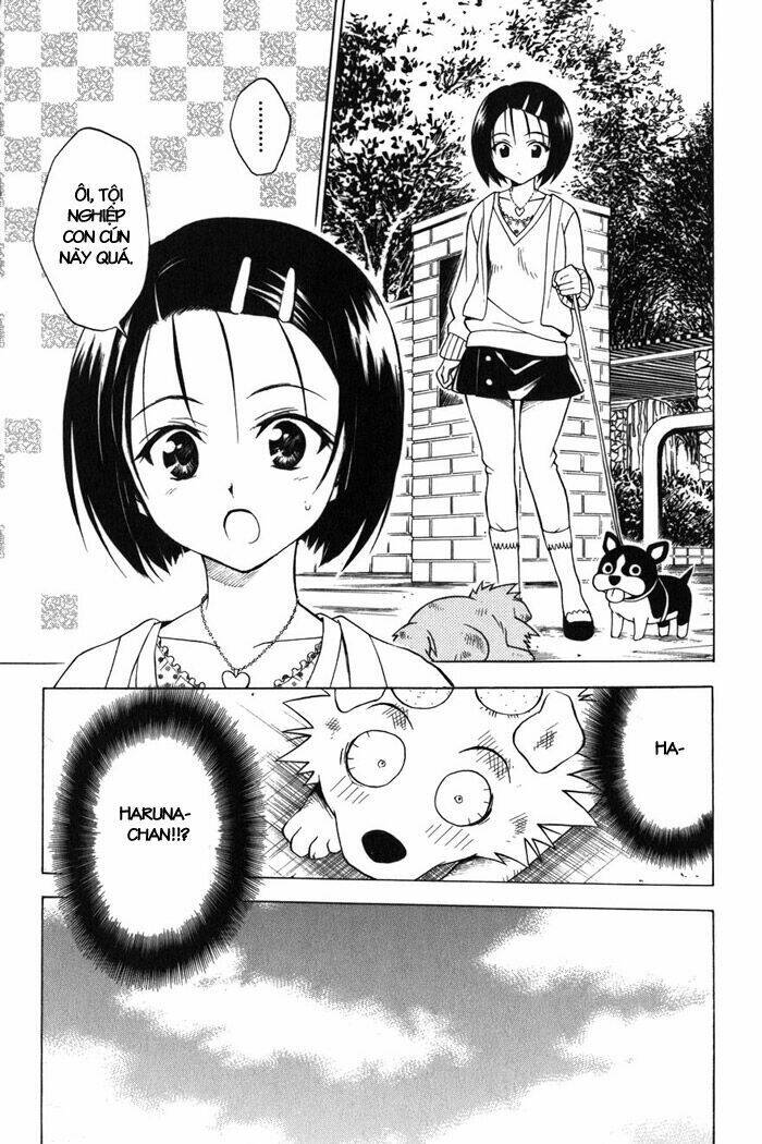 Bọn Tớ Thích Cậu! Rito Chapter 43 - Trang 2