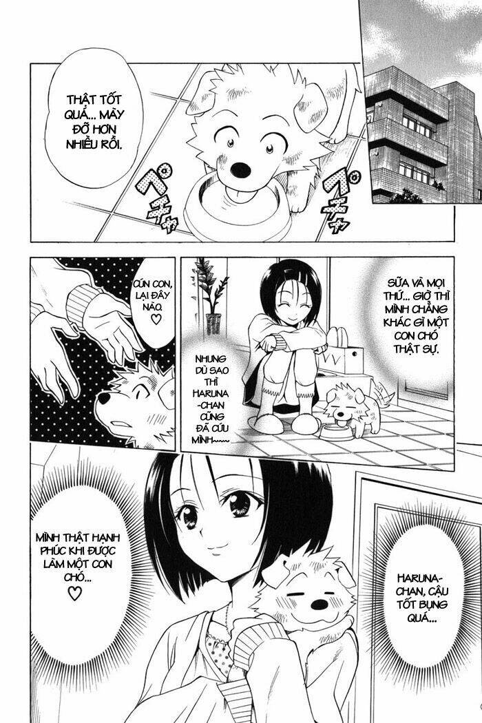 Bọn Tớ Thích Cậu! Rito Chapter 43 - Trang 2