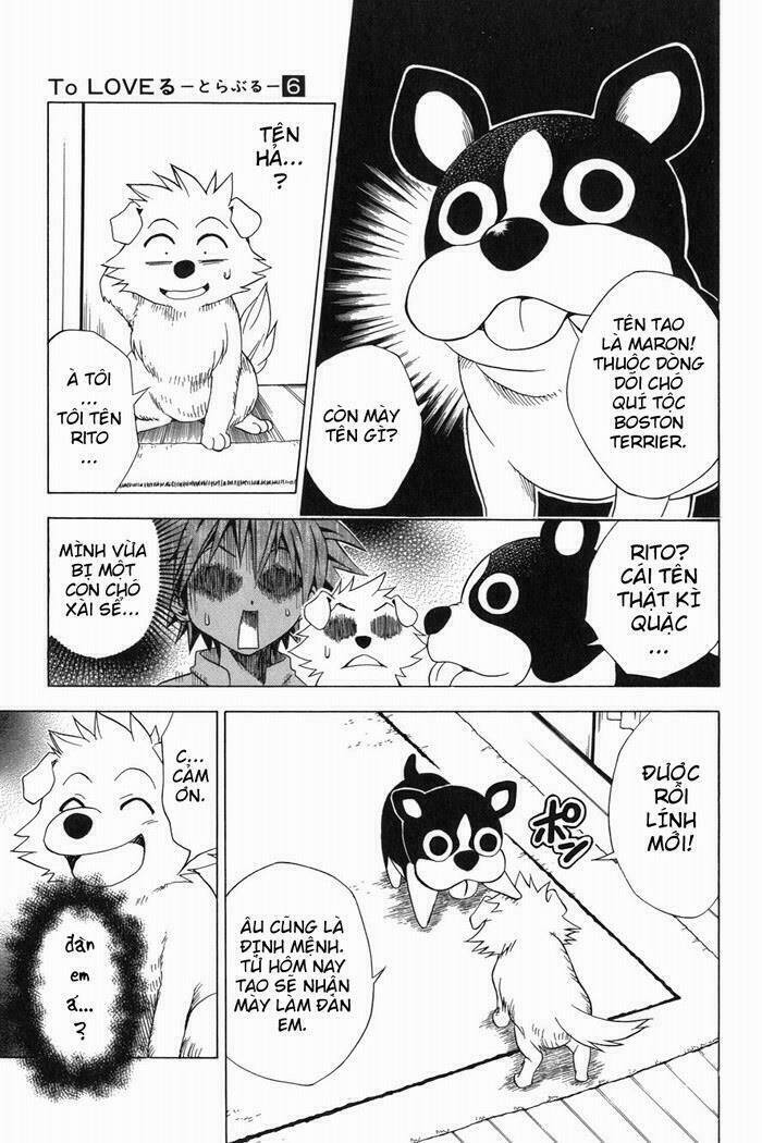 Bọn Tớ Thích Cậu! Rito Chapter 44 - Trang 2
