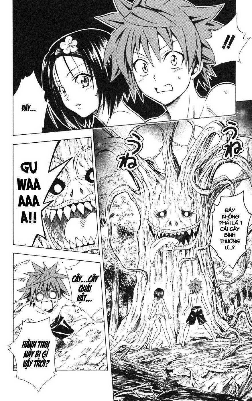 Bọn Tớ Thích Cậu! Rito Chapter 69 - Trang 2