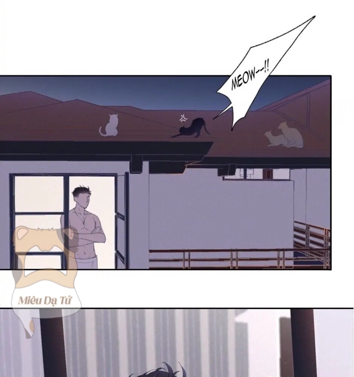 Bóng Dáng Tội Ác Chapter 1 - Trang 2