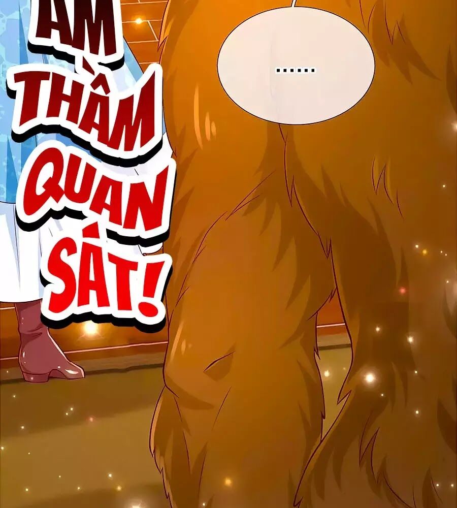 Bỗng Một Ngày Trở Thành Con Gái Nhà Vua Chapter 151 - Trang 2