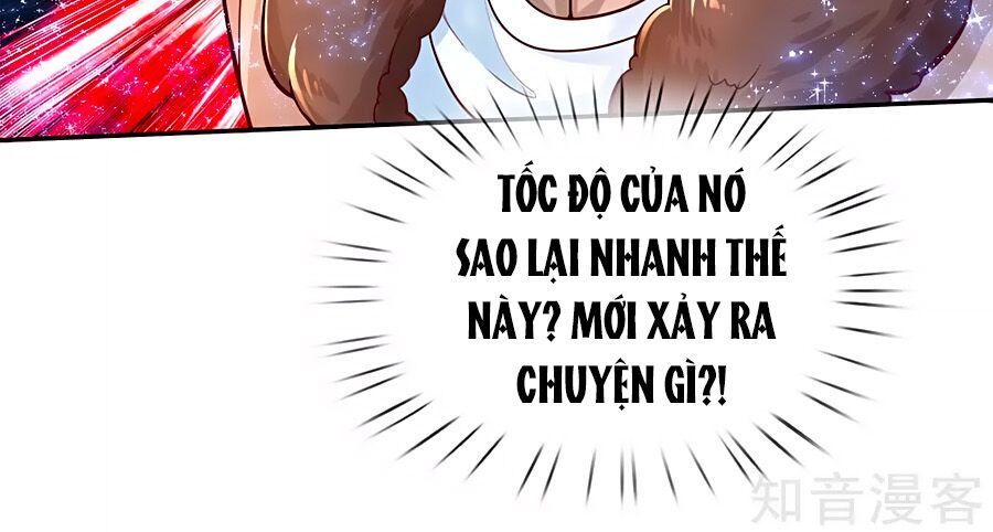 Bỗng Một Ngày Trở Thành Con Gái Nhà Vua Chapter 74 - Trang 2