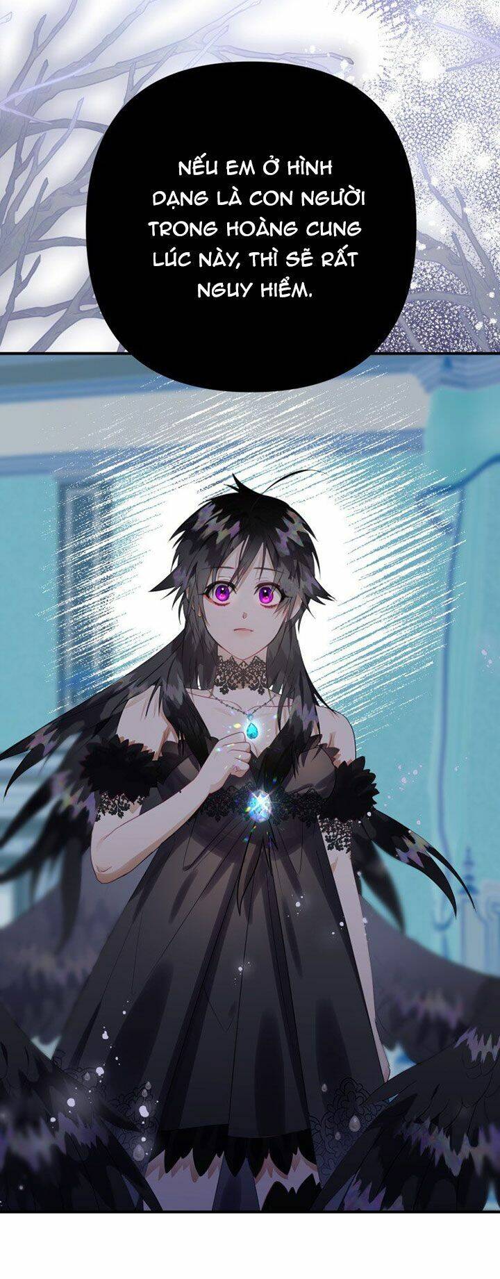 Bỗng Nhiên Tôi Trở Thành Quạ Đen!! Chapter 13 - Trang 2