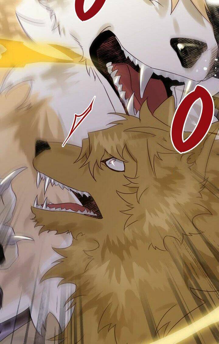 Bỗng Nhiên Tôi Trở Thành Quạ Đen!! Chapter 19 - Trang 2