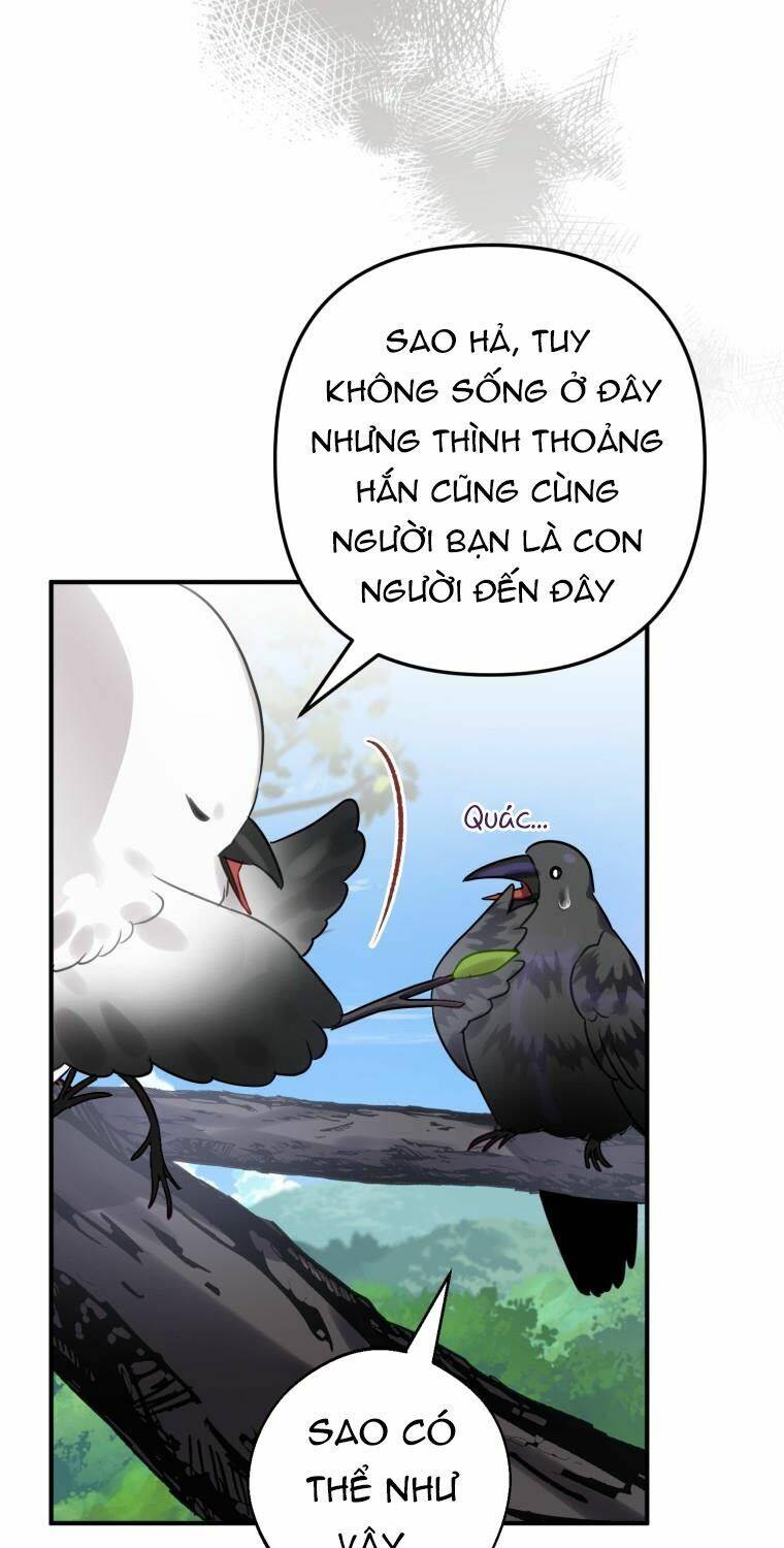 Bỗng Nhiên Tôi Trở Thành Quạ Đen!! Chapter 24 - Trang 2