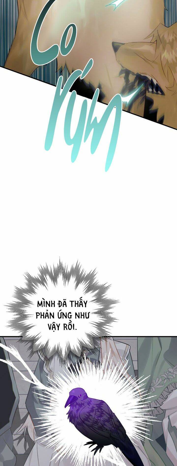 Bỗng Nhiên Tôi Trở Thành Quạ Đen!! Chapter 26 - Trang 2