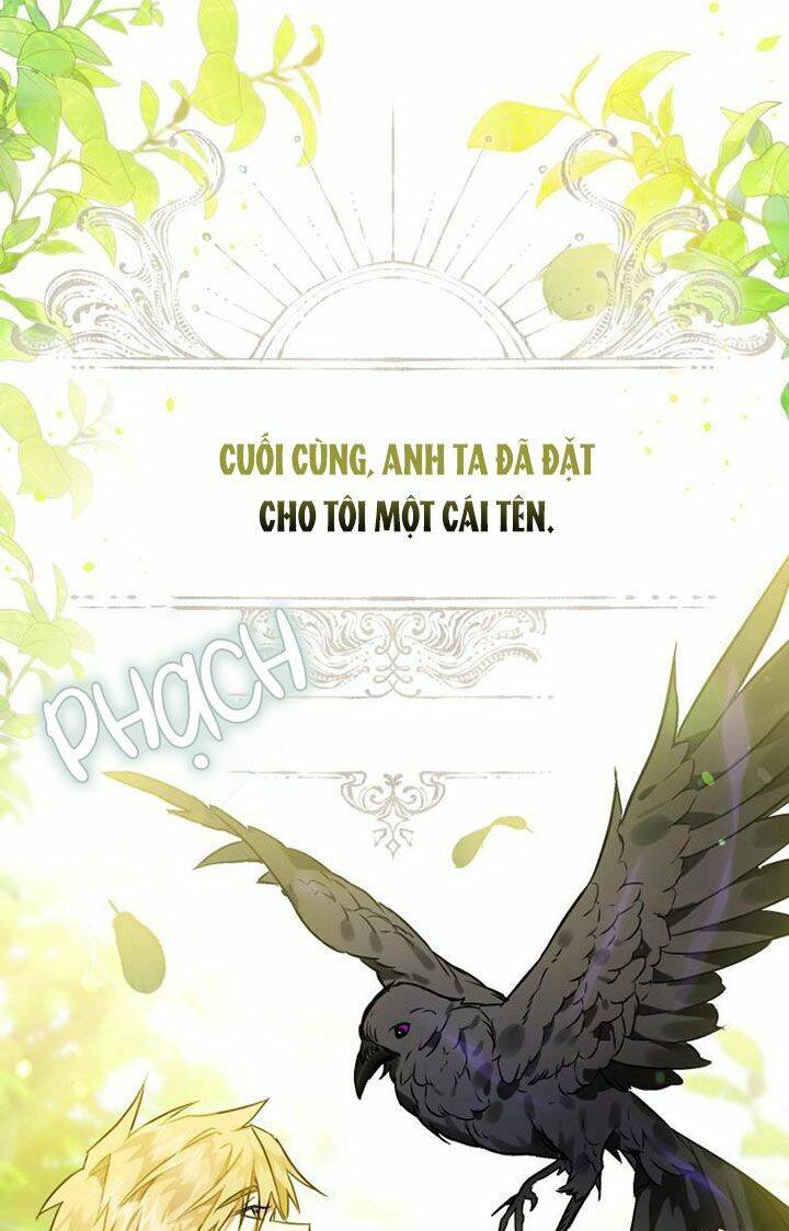 Bỗng Nhiên Tôi Trở Thành Quạ Đen!! Chapter 3 - Trang 2