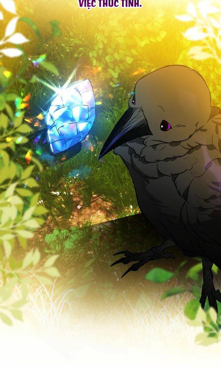 Bỗng Nhiên Tôi Trở Thành Quạ Đen!! Chapter 3 - Trang 2