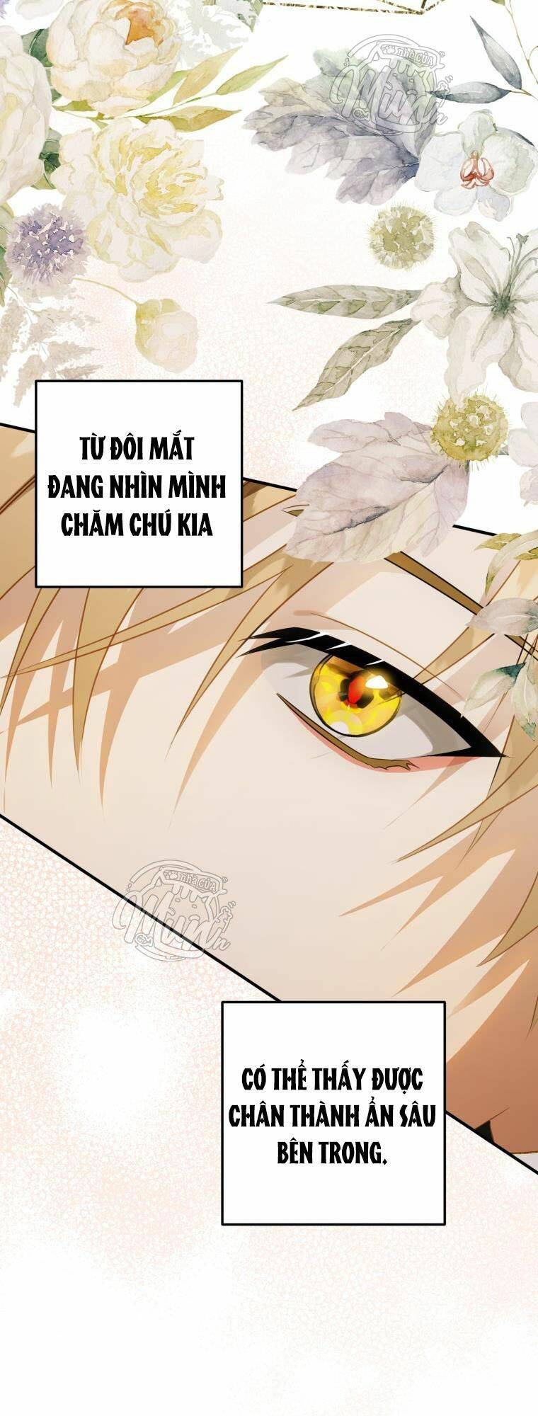 Bỗng Nhiên Tôi Trở Thành Quạ Đen!! Chapter 35 - Trang 2