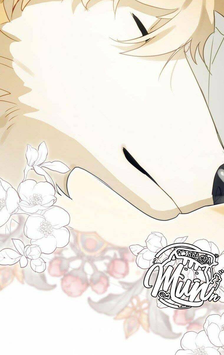 Bỗng Nhiên Tôi Trở Thành Quạ Đen!! Chapter 37 - Trang 2