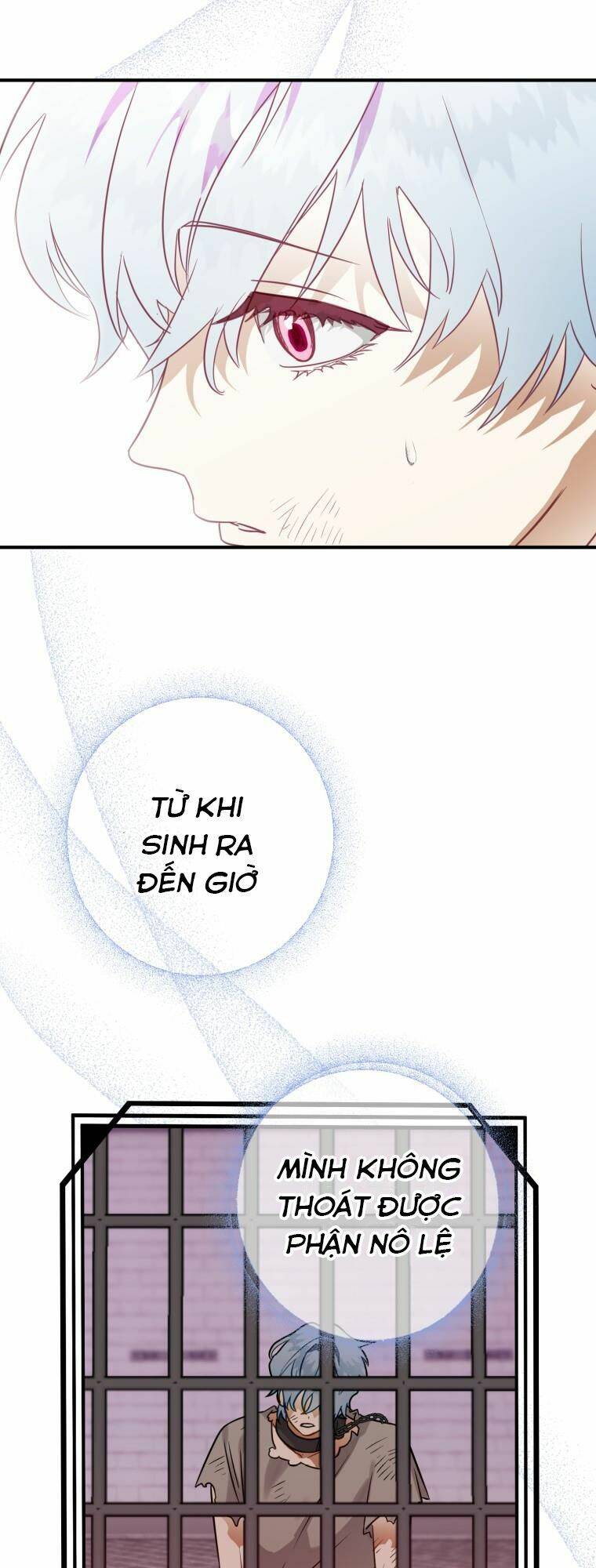 Bỗng Nhiên Tôi Trở Thành Quạ Đen!! Chapter 41 - Trang 2