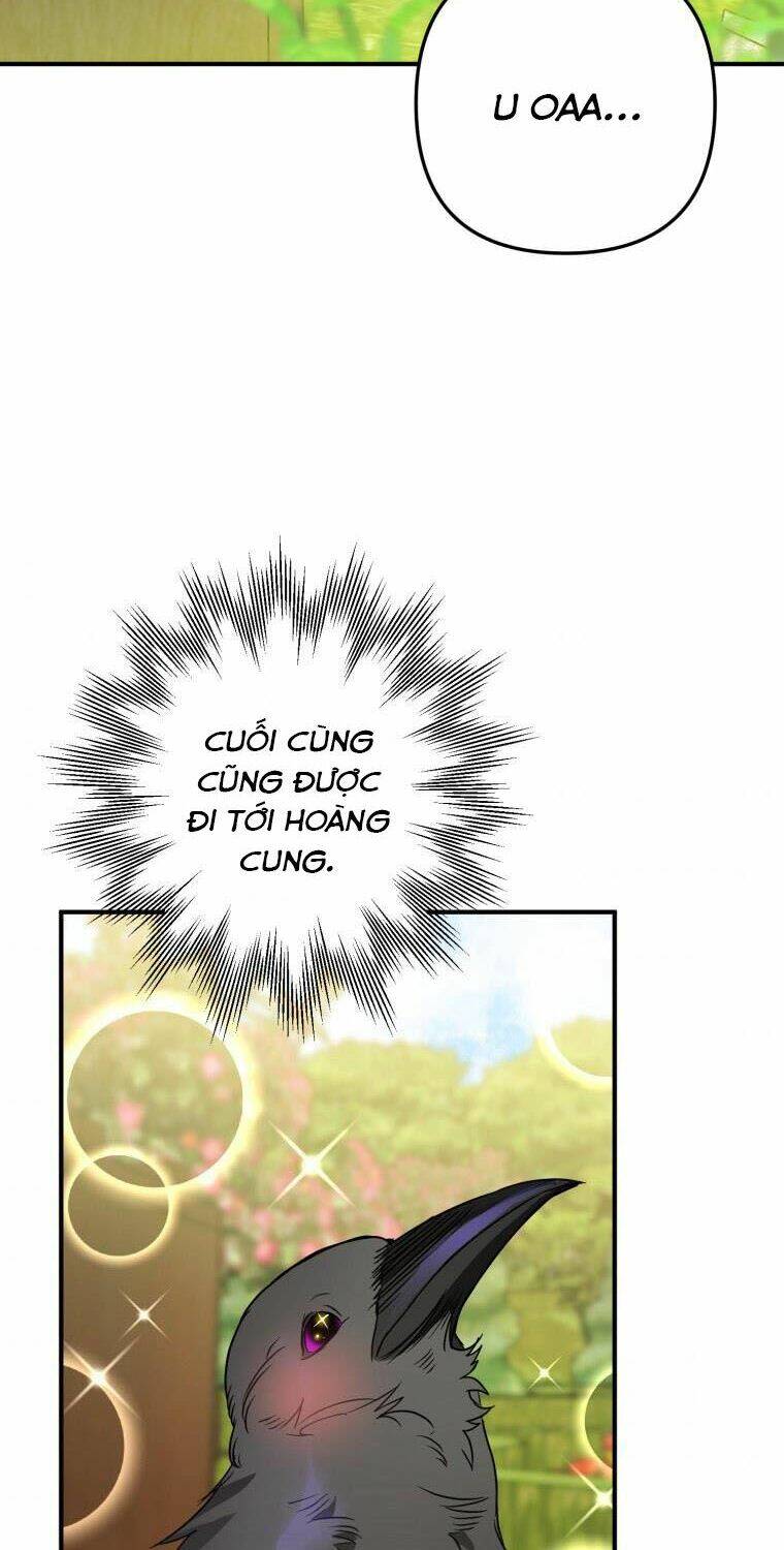 Bỗng Nhiên Tôi Trở Thành Quạ Đen!! Chapter 5 - Trang 2