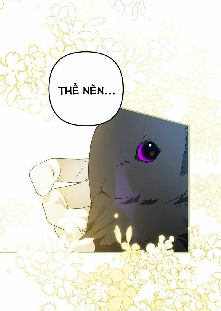 Bỗng Nhiên Tôi Trở Thành Quạ Đen!! Chapter 6 - Trang 2