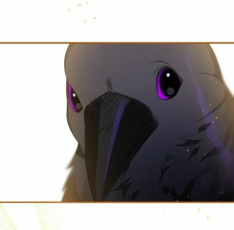 Bỗng Nhiên Tôi Trở Thành Quạ Đen!! Chapter 6 - Trang 2