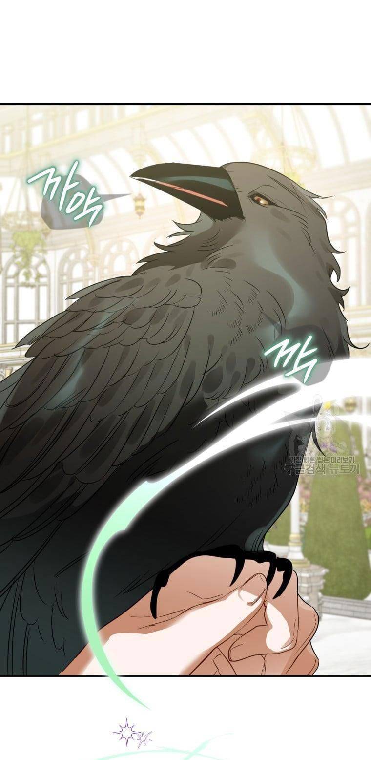 Bỗng Nhiên Tôi Trở Thành Quạ Đen!! Chapter 65 - Trang 2