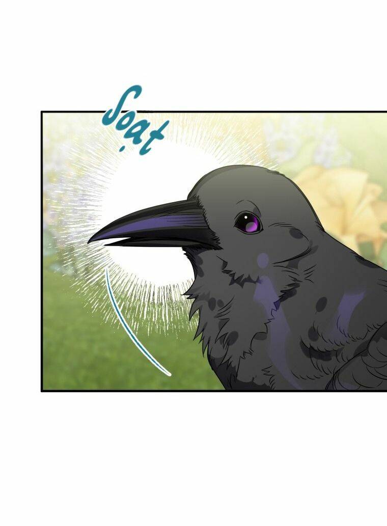 Bỗng Nhiên Tôi Trở Thành Quạ Đen!! Chapter 8 - Trang 2