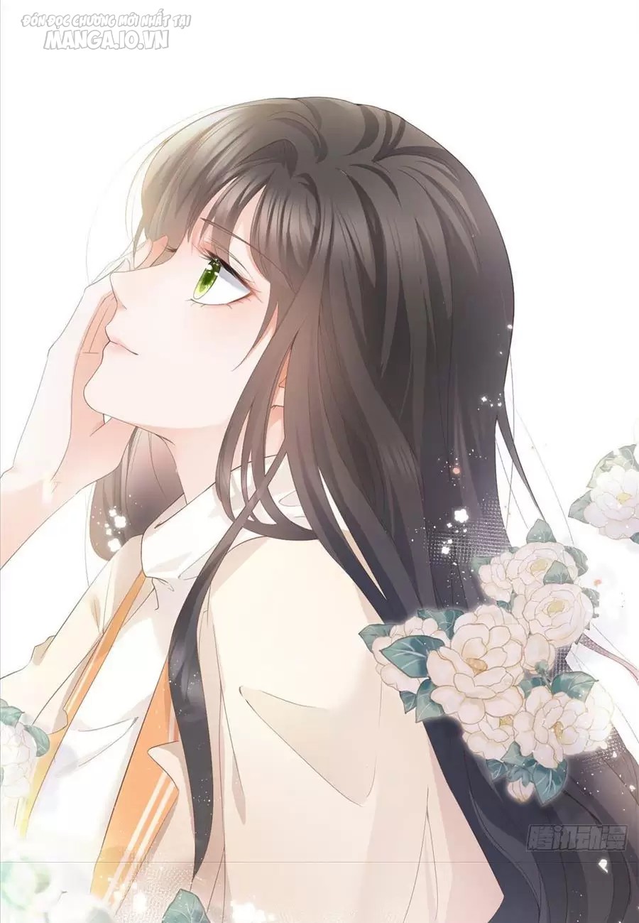 Boss Sát Thủ Dưỡng Hồ Yêu Chapter 0 - Trang 2