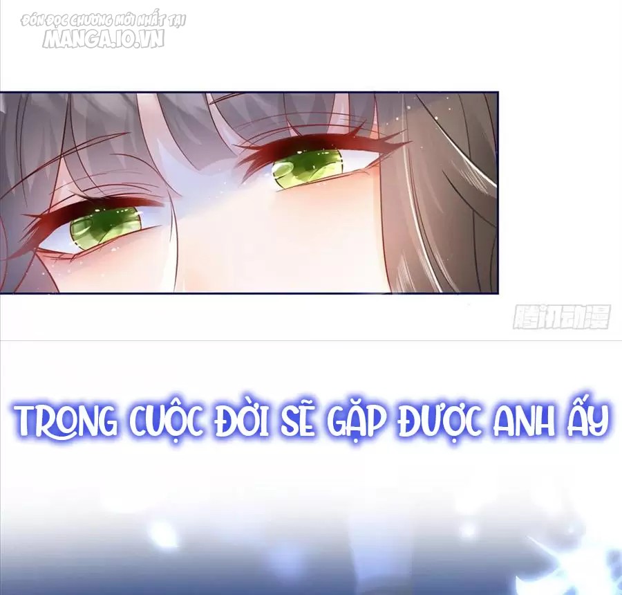 Boss Sát Thủ Dưỡng Hồ Yêu Chapter 0 - Trang 2