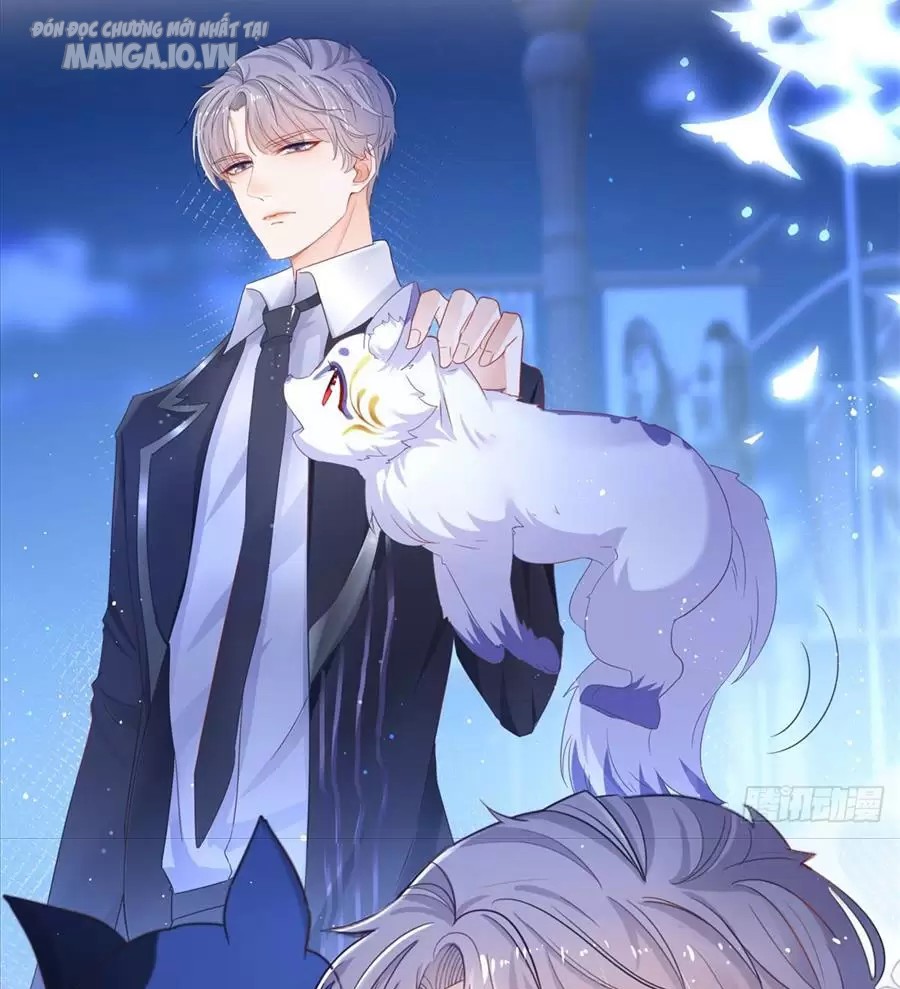 Boss Sát Thủ Dưỡng Hồ Yêu Chapter 0 - Trang 2