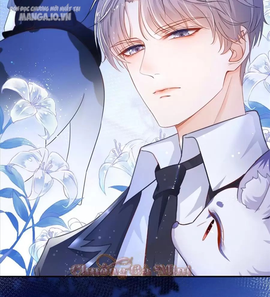 Boss Sát Thủ Dưỡng Hồ Yêu Chapter 0 - Trang 2