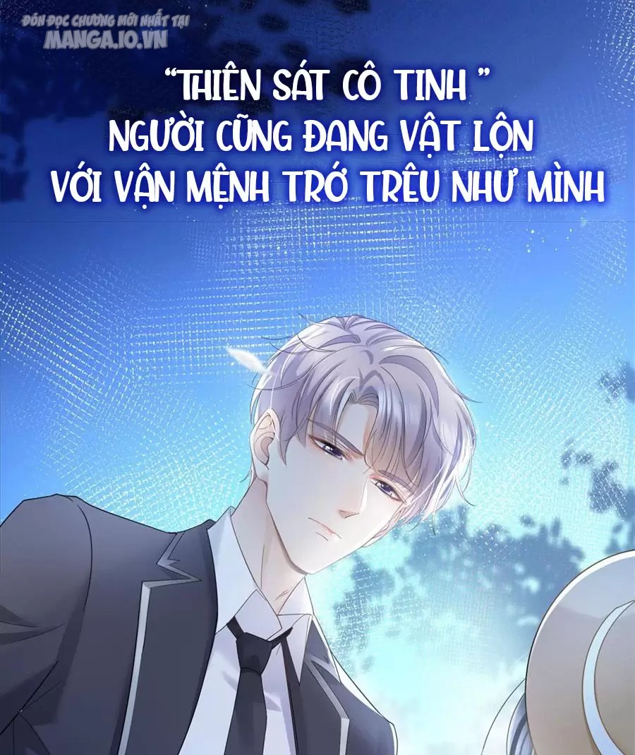 Boss Sát Thủ Dưỡng Hồ Yêu Chapter 0 - Trang 2