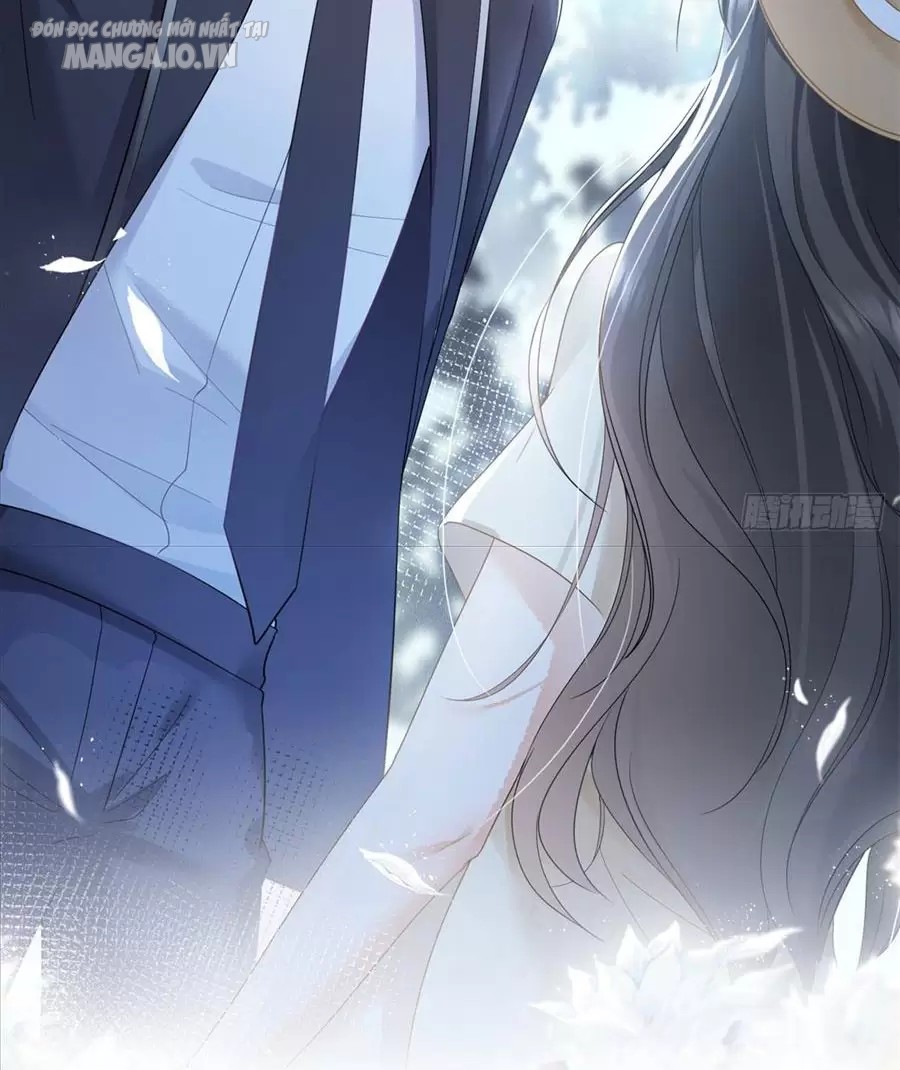 Boss Sát Thủ Dưỡng Hồ Yêu Chapter 0 - Trang 2