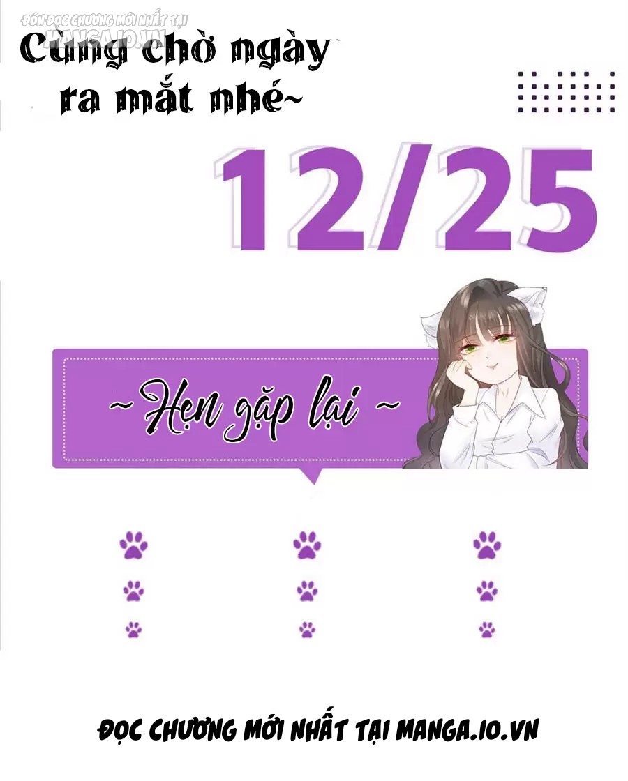 Boss Sát Thủ Dưỡng Hồ Yêu Chapter 0 - Trang 2