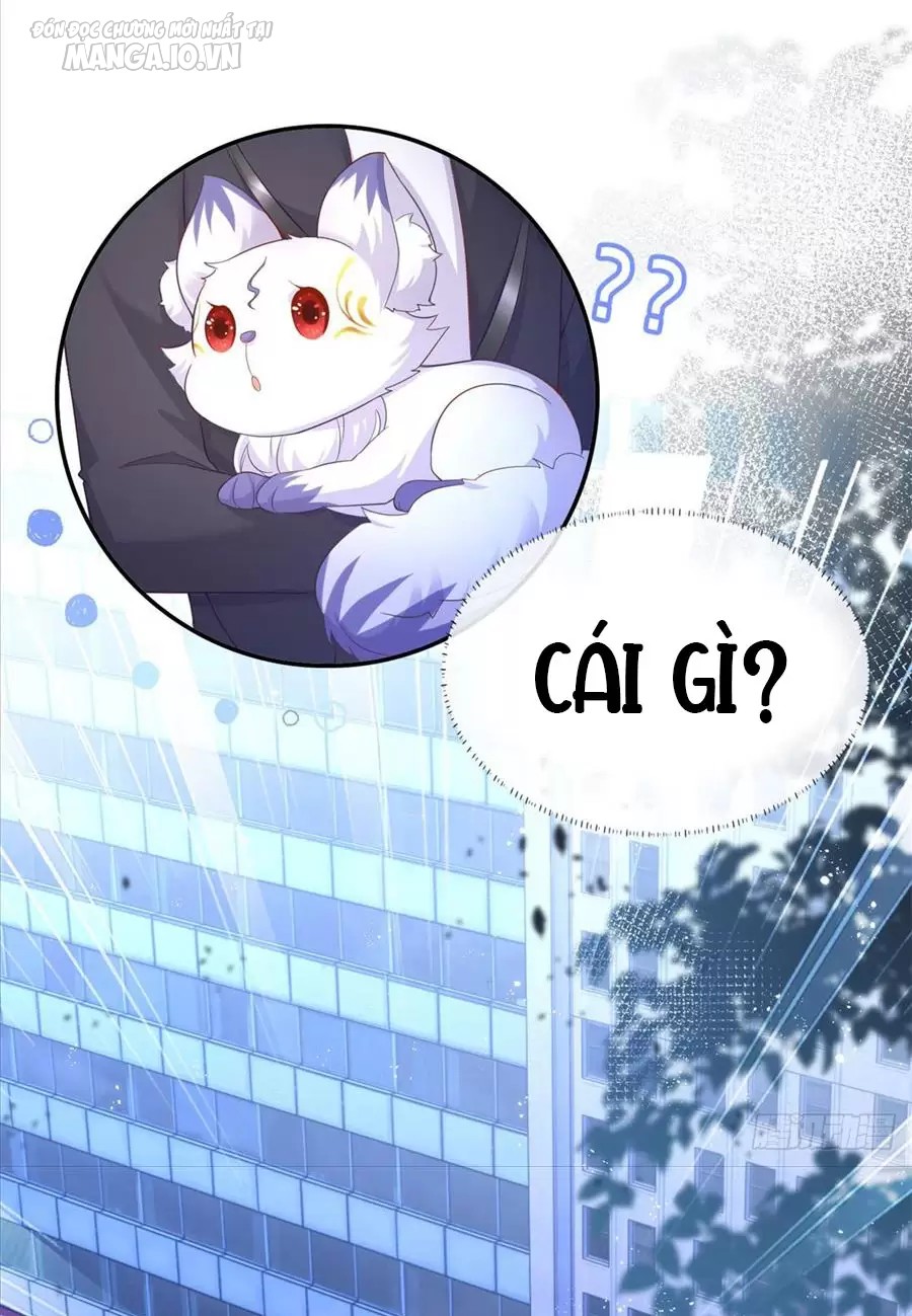 Boss Sát Thủ Dưỡng Hồ Yêu Chapter 0 - Trang 2