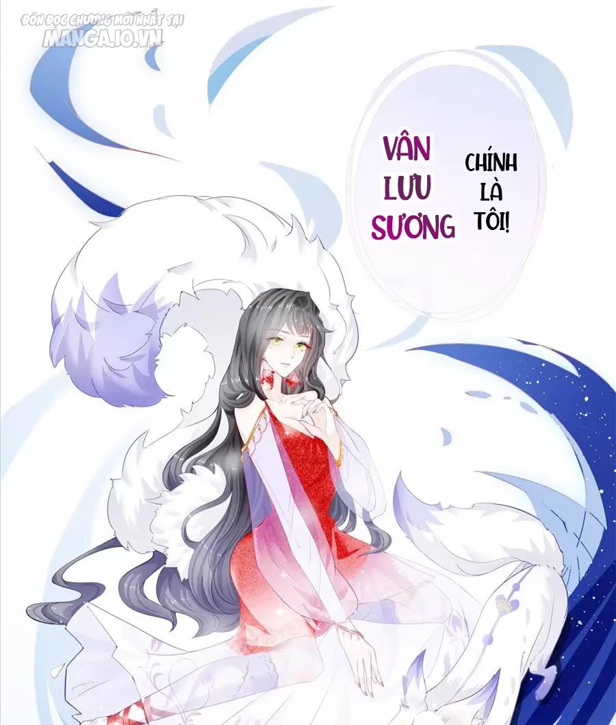 Boss Sát Thủ Dưỡng Hồ Yêu Chapter 0 - Trang 2