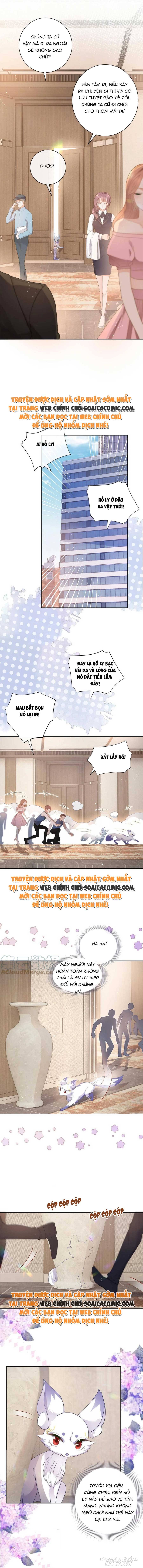 Boss Sát Thủ Dưỡng Hồ Yêu Chapter 70 - Trang 2