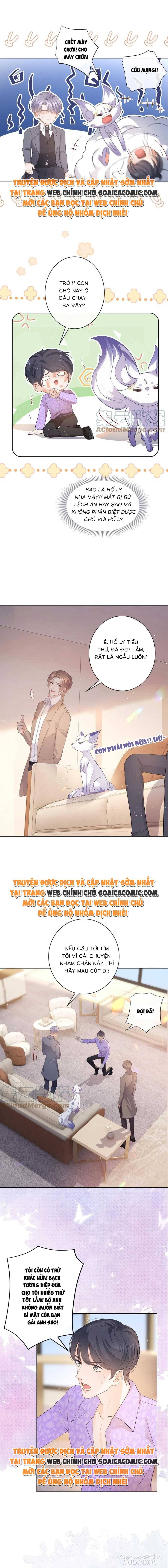 Boss Sát Thủ Dưỡng Hồ Yêu Chapter 72 - Trang 2