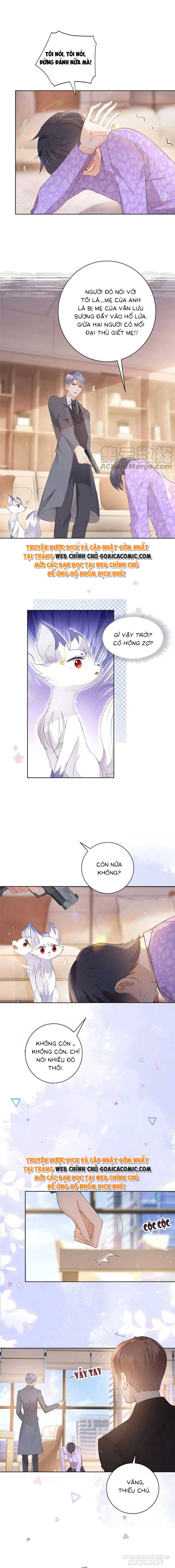 Boss Sát Thủ Dưỡng Hồ Yêu Chapter 73 - Trang 2