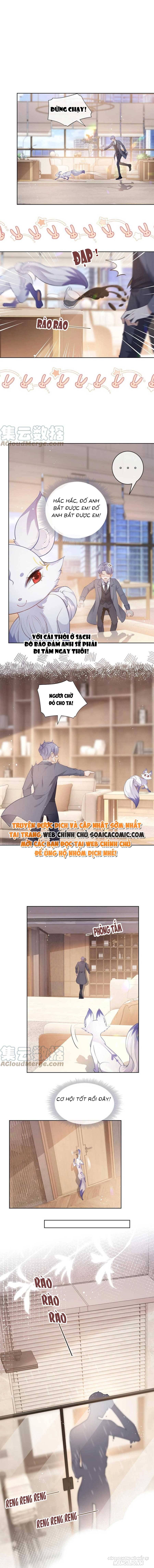 Boss Sát Thủ Dưỡng Hồ Yêu Chapter 74 - Trang 2