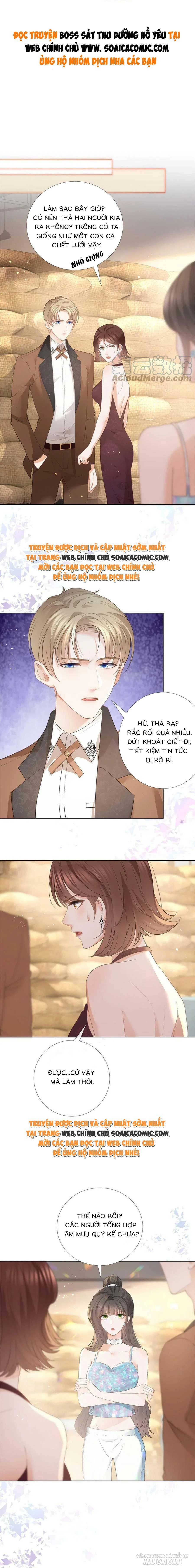 Boss Sát Thủ Dưỡng Hồ Yêu Chapter 79 - Trang 2