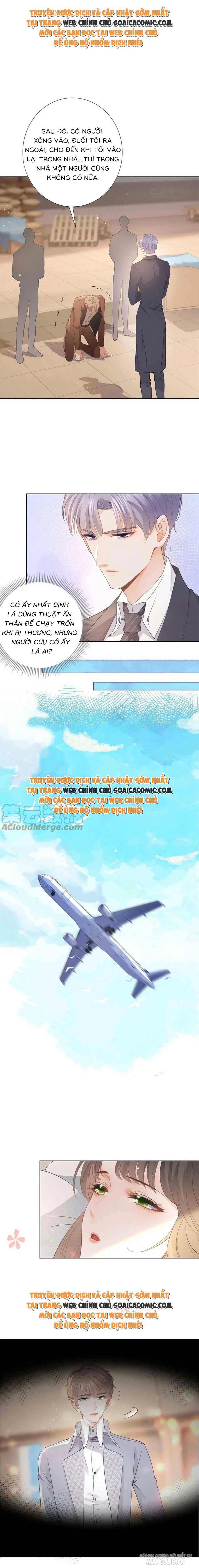 Boss Sát Thủ Dưỡng Hồ Yêu Chapter 81 - Trang 2