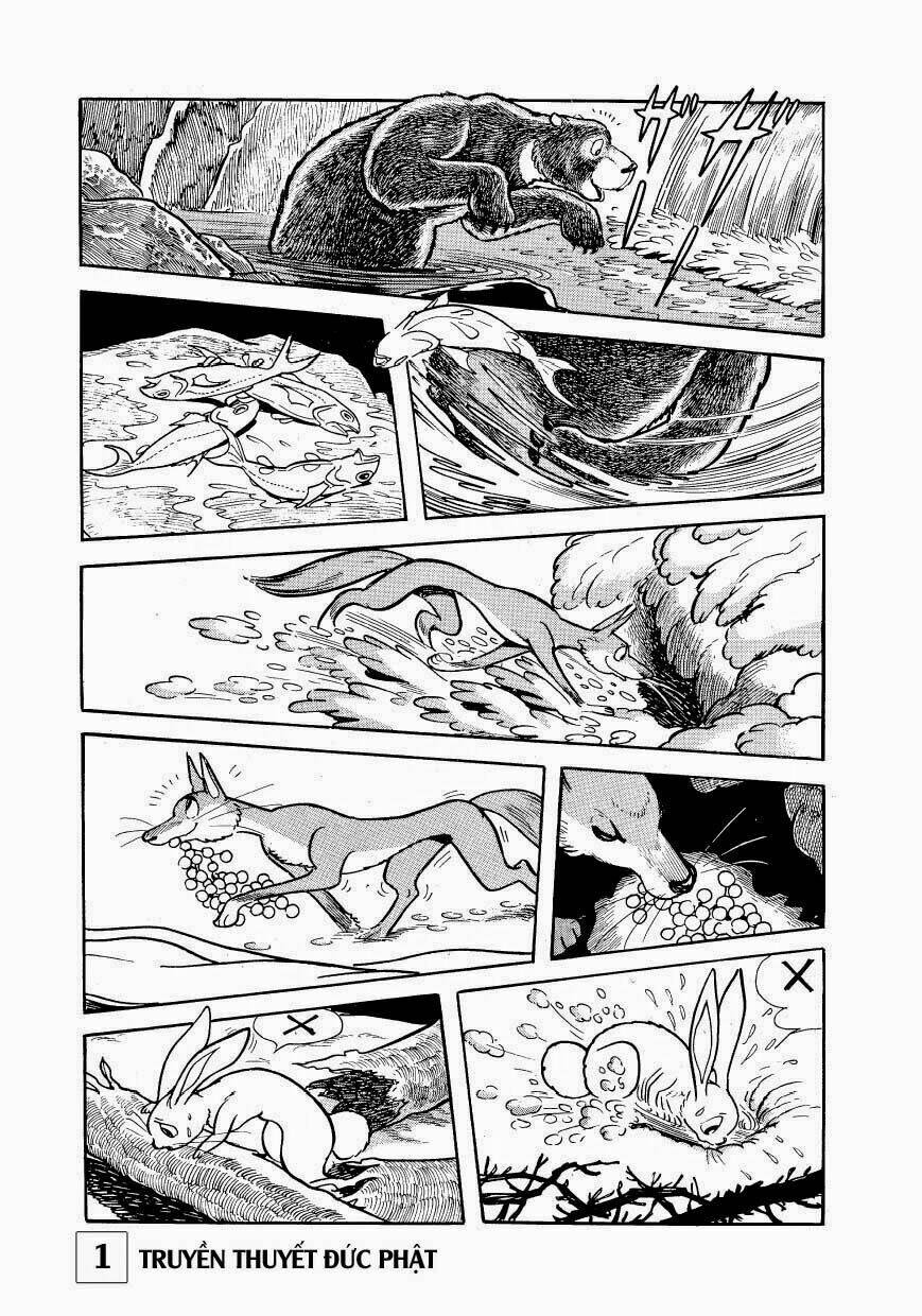 Buddha – Truyền Thuyết Đức Phật Chapter 1 - Trang 2