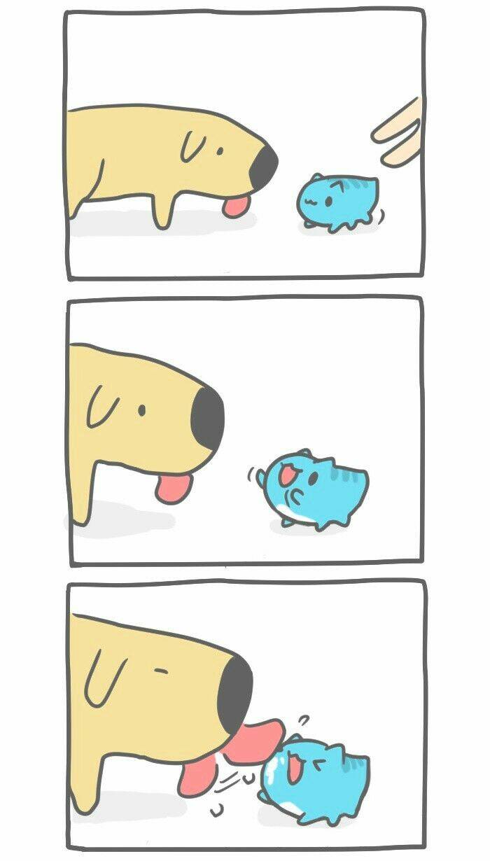 Bugcat-Capoo Chapter 1 - Trang 2