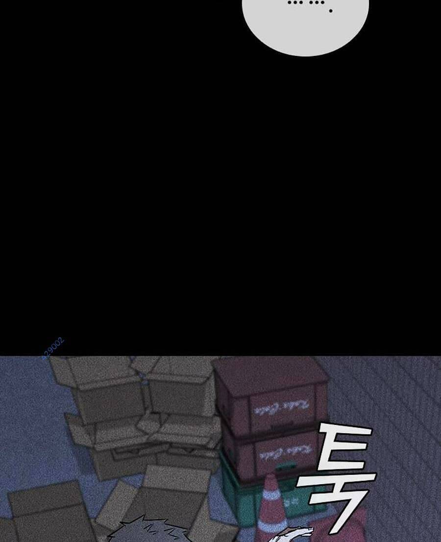 Cá Mập Wyvern Chapter 20 - Trang 2