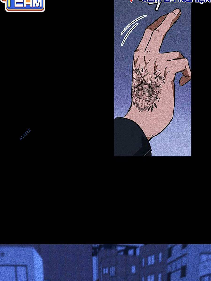 Cá Mập Wyvern Chapter 23 - Trang 2