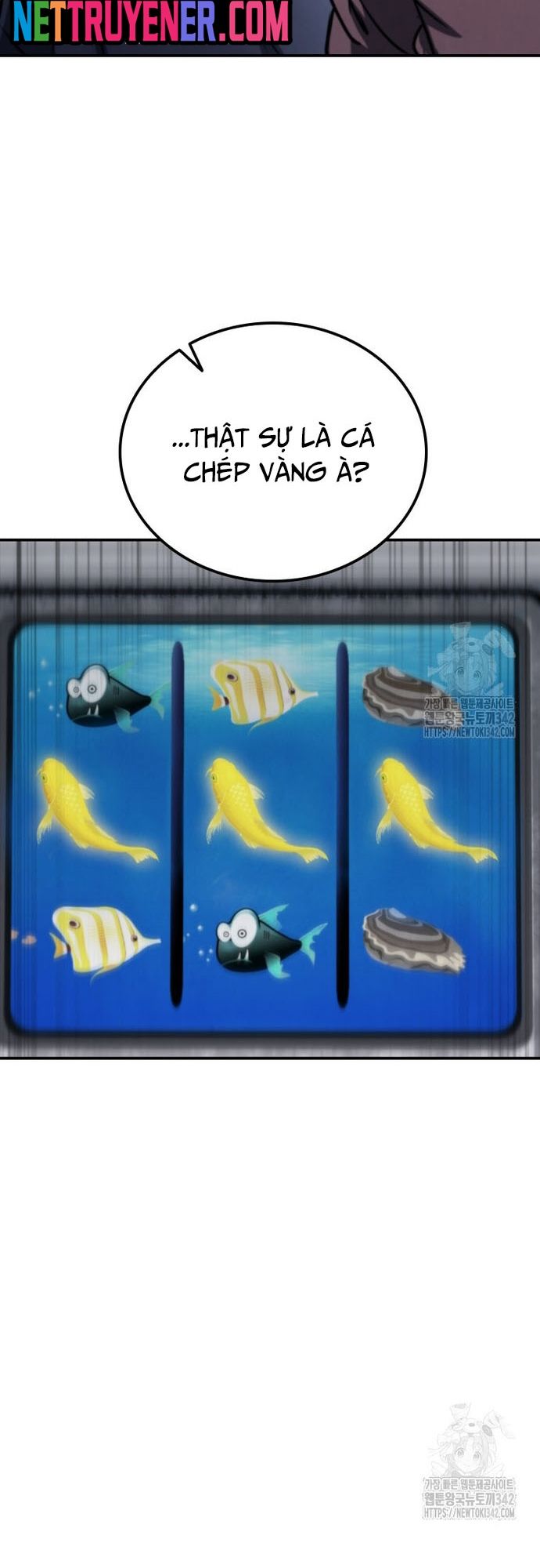 Cá Mập Wyvern Chapter 60 - Trang 2